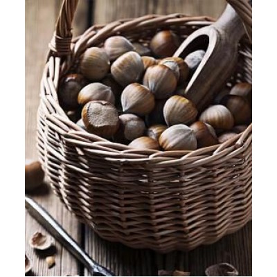 Фундук "Косфорд": отзывы и описание сорта